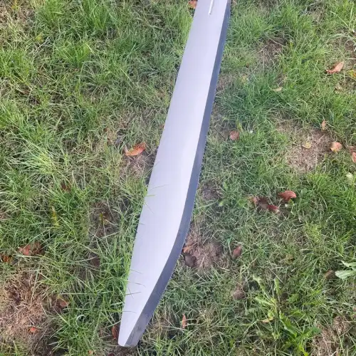 Formule 18 à vendre - (Hobie Cat WildCat) Utrecht / Amersfoort