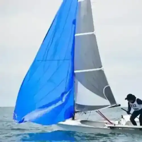 D One à vendre  Bretagne / Pleumeur-Bodou