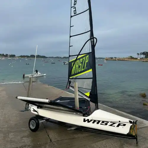 Waszp à vendre  Bretagne / Penvénan