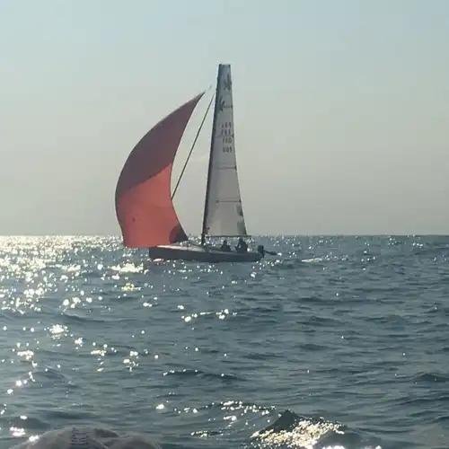 Voile(s) pour dayboat type Mach 6.50 à vendre à Lille