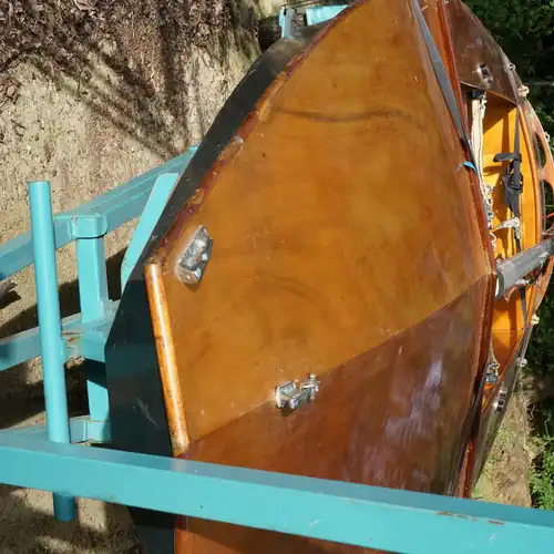 Vends tadorne fireball