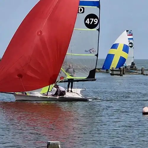 49er à vendre  Friesland / Sloten