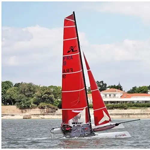 Catamaran Hobie-Wild CAT F18 year 2010